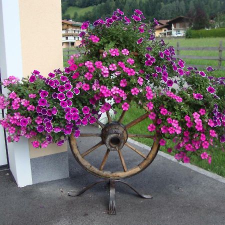 Haus Schnepfleitner Apartamento Dorfgastein Exterior foto
